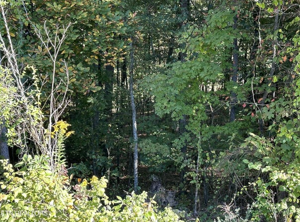 Hathburn Drive, Rockwood, TN 37854