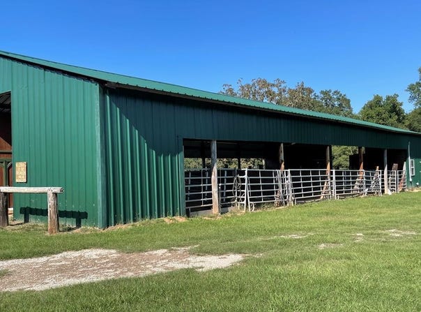 1452a Caesar rd, Carriere, MS 39426