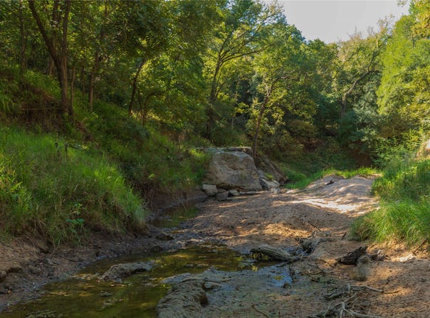 1282 CR 461, Gorman, TX 76454