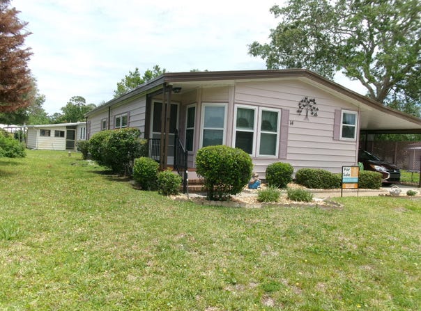 14 Malayan Sun Bear, Ormond Beach, FL 32174