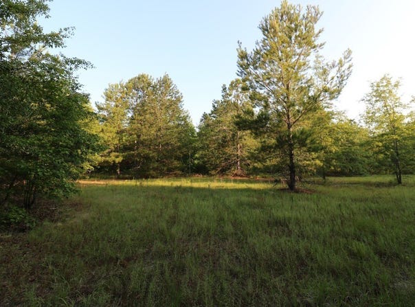 0 Kings Mill Road Tract E, Wrens, GA 30833