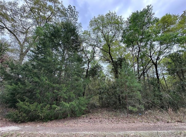 NE 154TH Avenue, WILLISTON, FL 32696