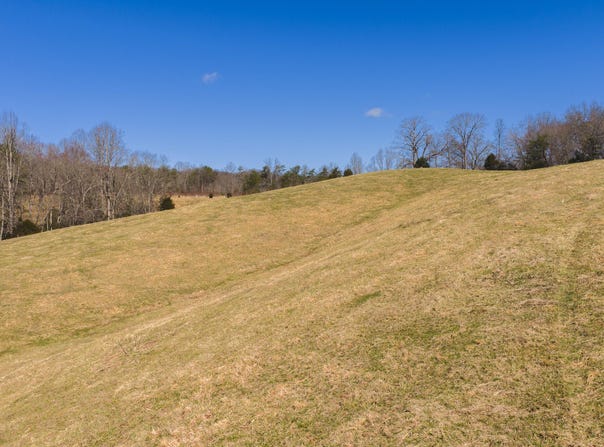 50 Acres Sutton Hollow Road, Sneedville, TN 37869