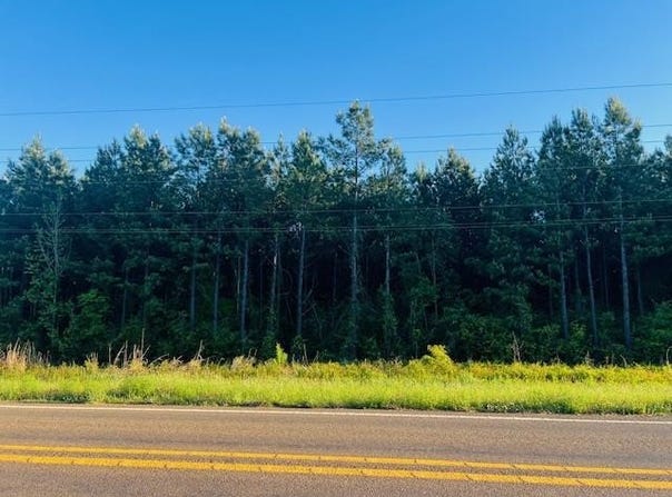 3122 State Hwy 184, Hemphill, TX 75948