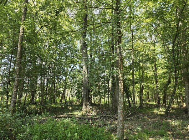 000 Gardner Road, Grady, AL 36036
