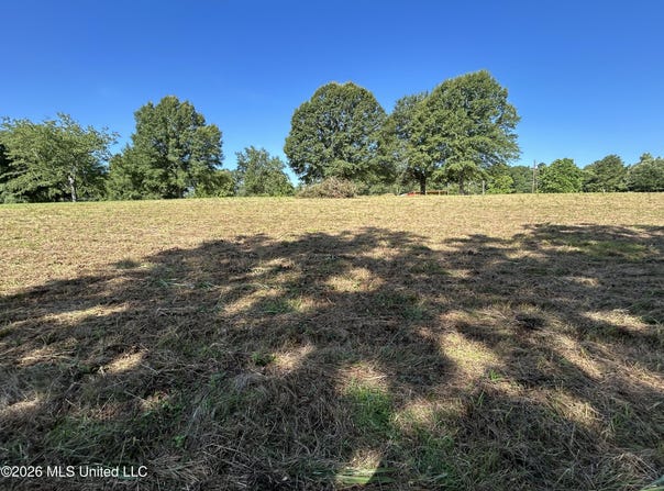 Willis Cotton Road, Summit, MS 39666