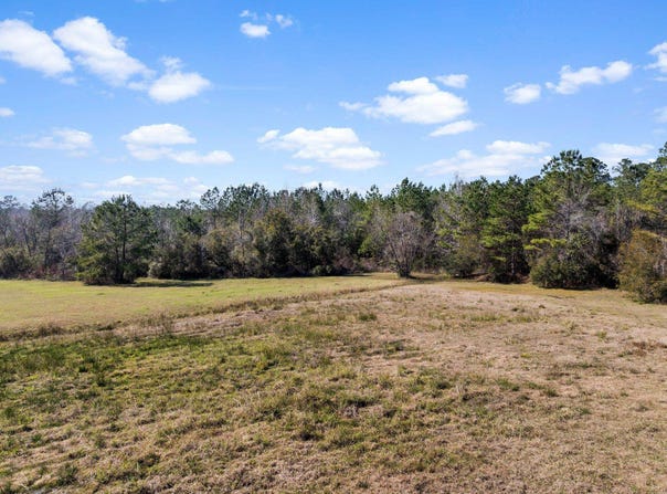 402 Mistletoe Lane, Monticello, FL 32344