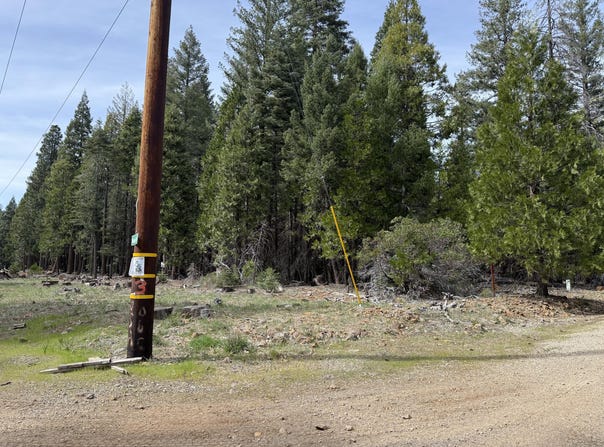 Westward Ho Road, Shingletown, CA 96088