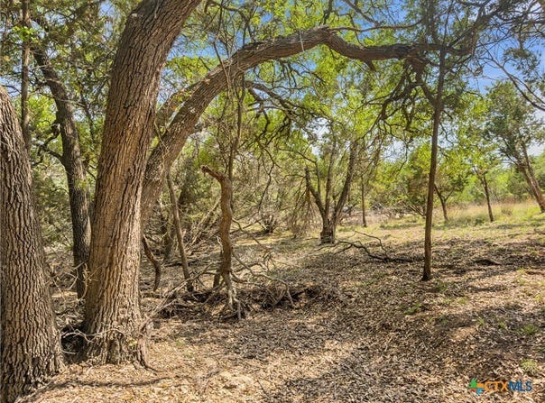 369 Onion Creek Lane lot: 10, Blanco, TX 78606