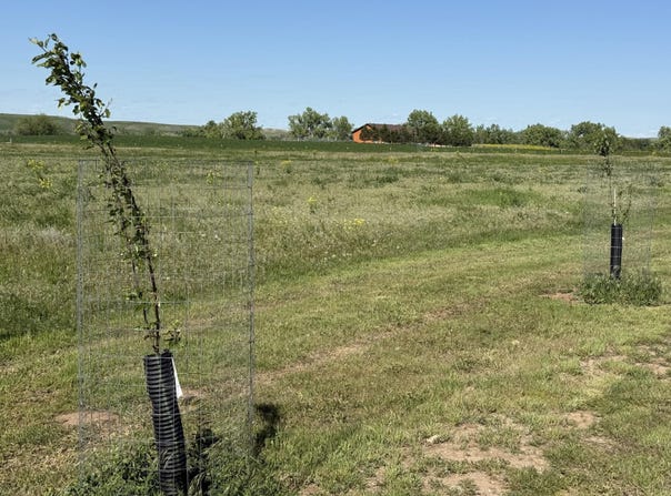TBD Lot 4 Wild West Place, Belle Fourche, SD 57717