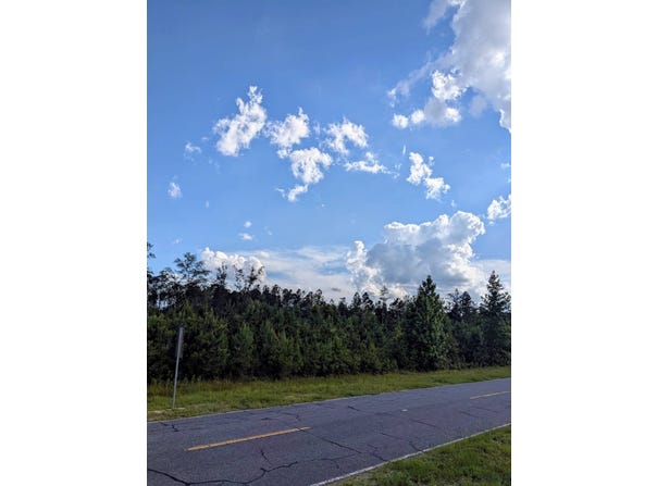 0 IG Lanier Rd, Pembroke, GA 31321