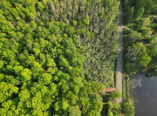 28 ACRES EAST BAY ROAD, PRESQUE ISLE, WI 54557