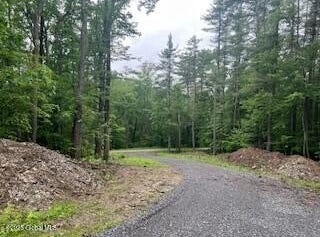 L30.4 Gale Hill Road, New Lebanon, NY 12060