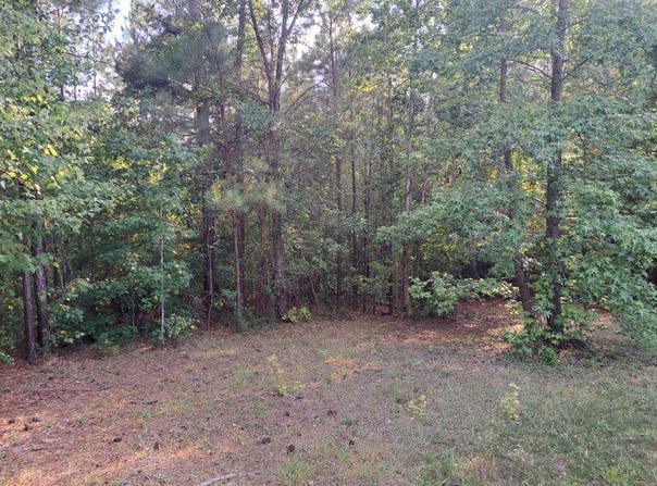 1001 Robinson Road, Ridgeway, SC 29130