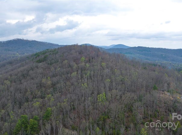 Courtney Drive, Hendersonville, NC 28791