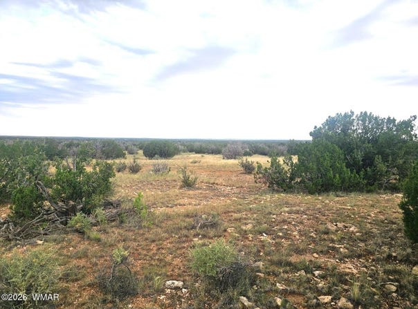 5075 Sidlyn Road, Heber, AZ 85928