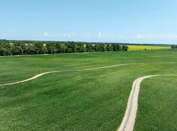 County Road 136, Hickory Ridge, AR 72347