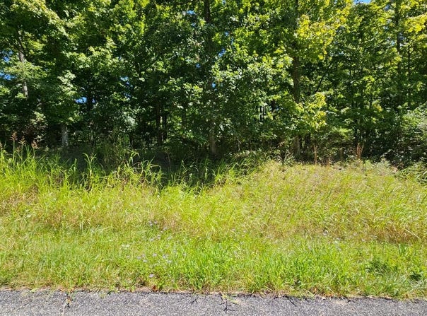 Falling Rock Drive lot: 42, Aurora, IN 47001