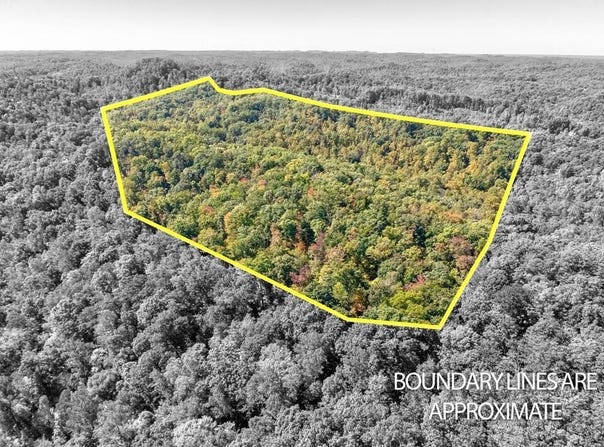 Cow Creek Road, Stanton, KY 40380