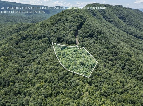 Lot 111c Puett Cove Estates, Marble, NC 28905