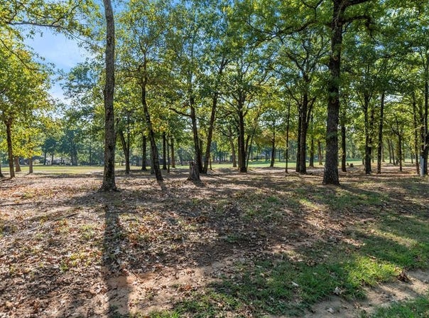 221 Colonial Dr, Malakoff, TX 75156