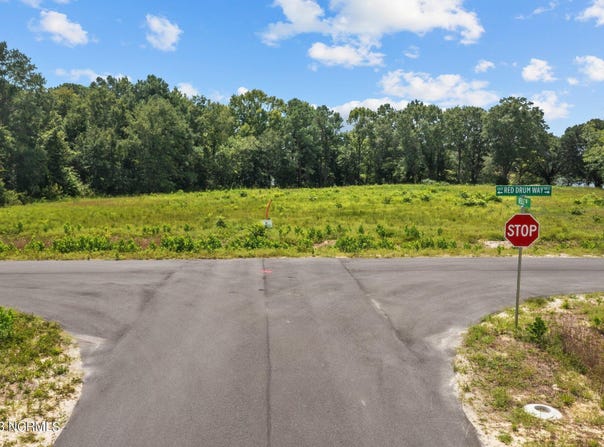 502 Red Drum Way E lot: 14, Swansboro, NC 28584