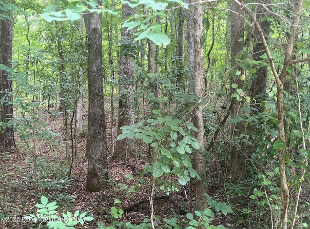 Lot 48 Turtle Ln, Dadeville, AL 36853