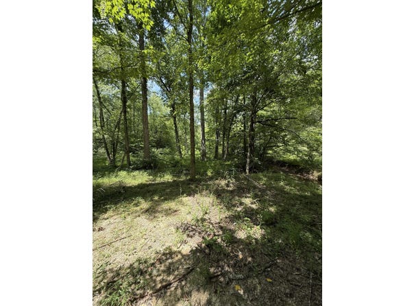 0 Loraine Street, Pigeon Forge, TN 37863