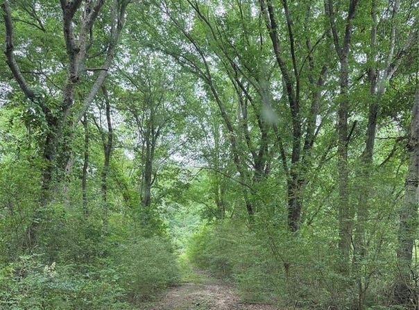 32 Acres County Road 2324, Como, TX 75431