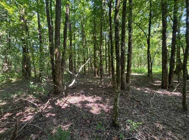 3119  Doc gray road, Maynard, AR 72444