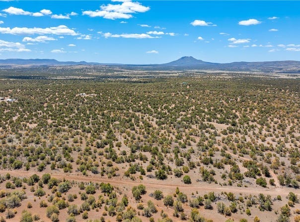Dragon Den lot: 1356, Seligman, AZ 86337