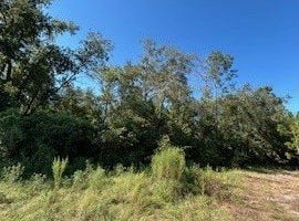 TBD 209TH PLACE, Live Oak, FL 32060