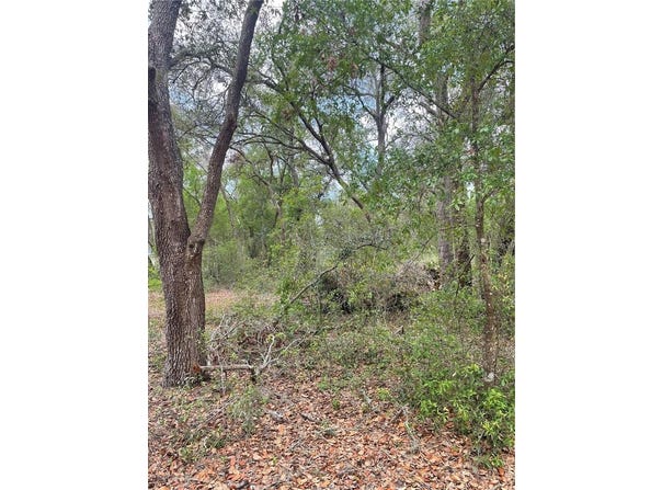 JUNIPER STREET, LADY LAKE, FL 32159