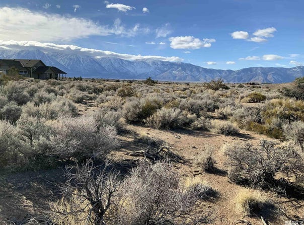 1290 Jo Lane, Gardnerville, NV 89410