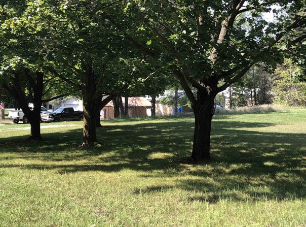 S Wright Street, Farwell, MI 48622