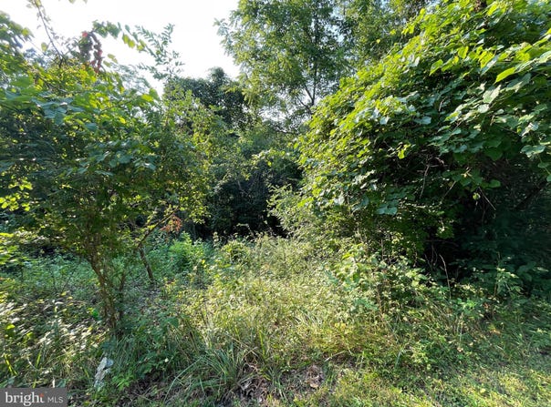 54 TUPELO ROAD, SPRINGFIELD, WV 26763