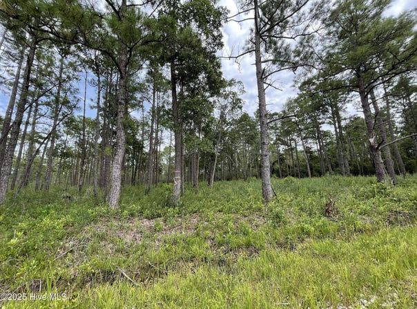 811 Brittany Road, Southport, NC 28461