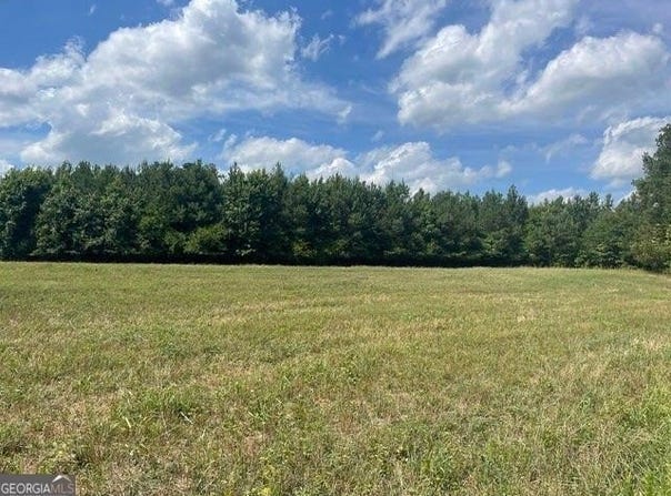 0 Cannon Road, Sharpsburg, GA 30277