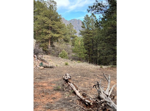 private dr lot: R-56, Chama, NM 87520