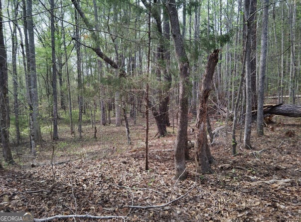 75 Lee, Greenville, GA 30222