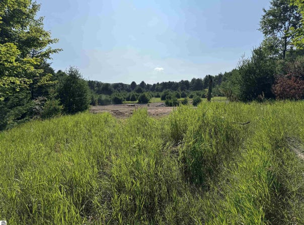 Lot #6 E Bellinger Road, Cedar, MI 49621