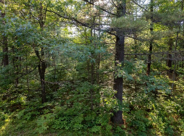 Lot 15 DADS LAKE RD, Eagle River, WI 54521