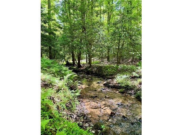 308 Creekside Trail, Ellijay, GA 30540