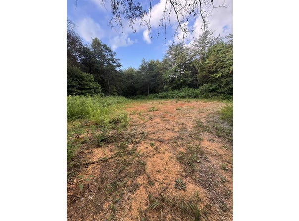16.68+/- Acres Hwy 127 N, Albany, KY 42602
