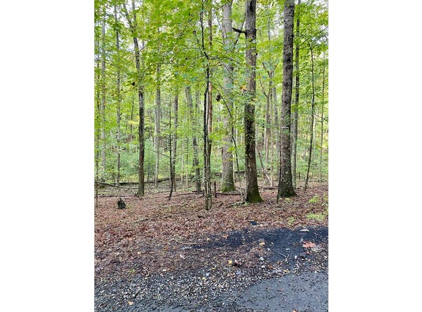 35 Meridian Lane, Hillsville, VA 24333