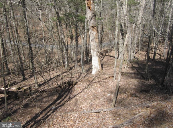 180 SPRUCE LANE, MOUNT JACKSON, VA 22842
