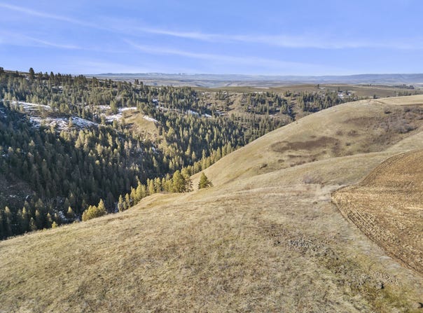 TBD Old Culdesac Road, Culdesac, ID 83524