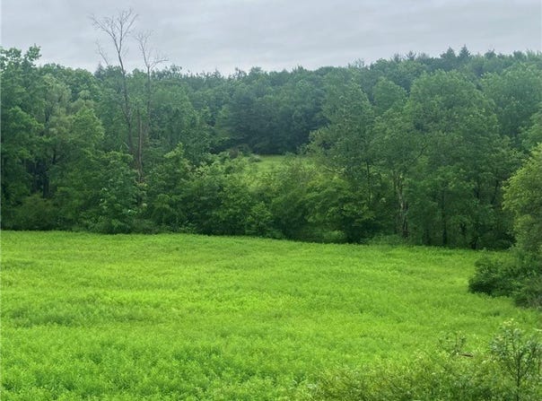 00 Oregon Road, Butternuts, NY 13776