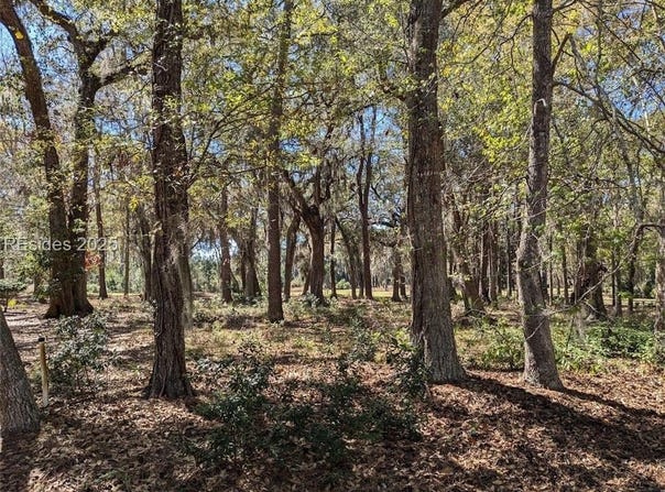 30 Volunteers Ridge, Daufuskie Island, SC 29915