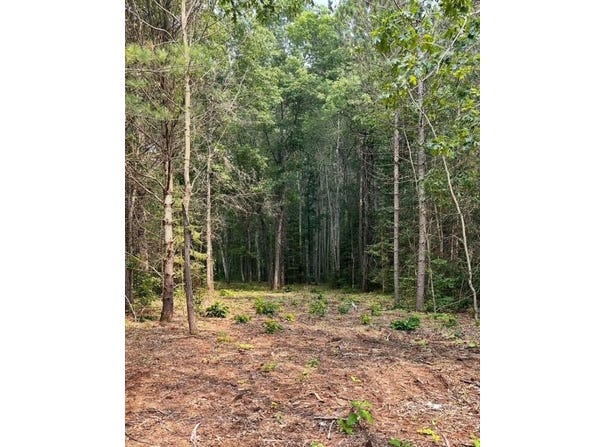 2.5 Acres COUNTY ROAD Y, Tomahawk, WI 54487